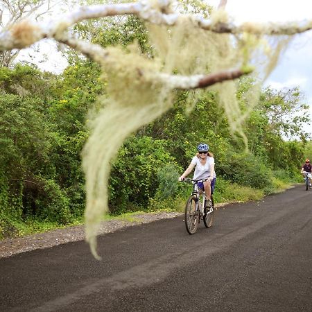 GALAPAGOS ISLANDSGalapagos Safari Camp别墅 外观 照片