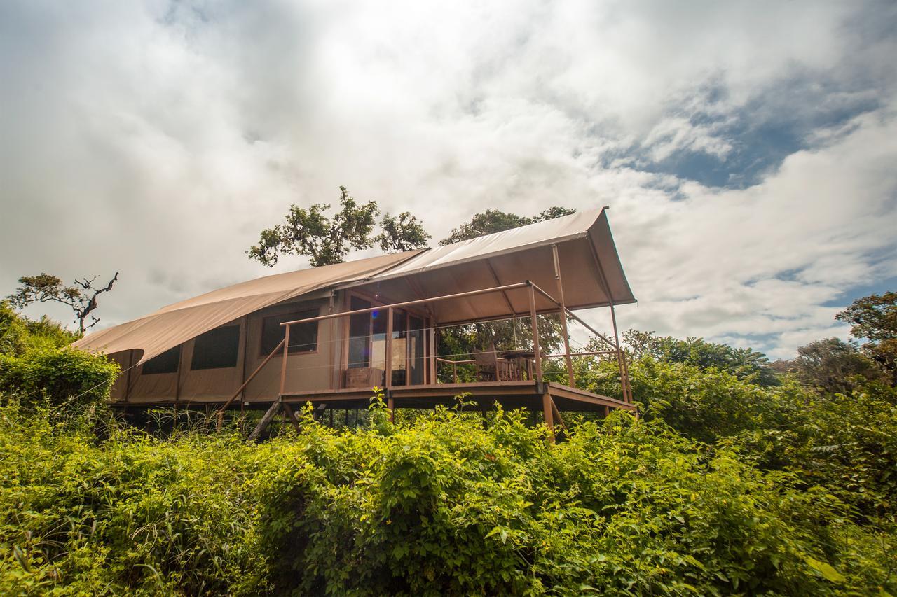 GALAPAGOS ISLANDSGalapagos Safari Camp别墅 外观 照片